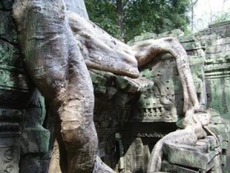 Ta Prohm