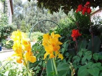 Quinta do Vale do Monte