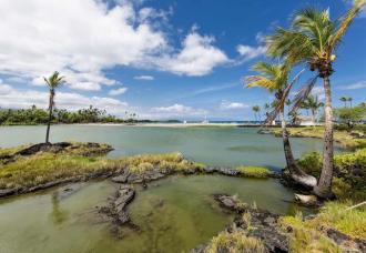 Waikoloa Beach Marriott Resort & Spa