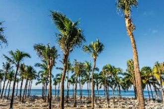 Riu Vallarta