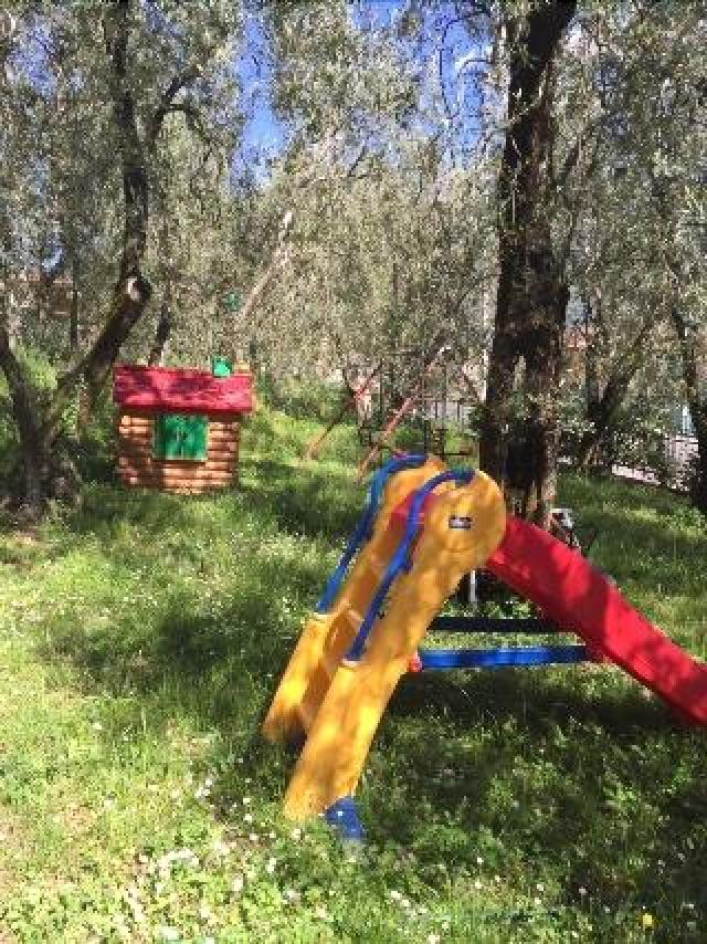 Desportos y Entretenimento