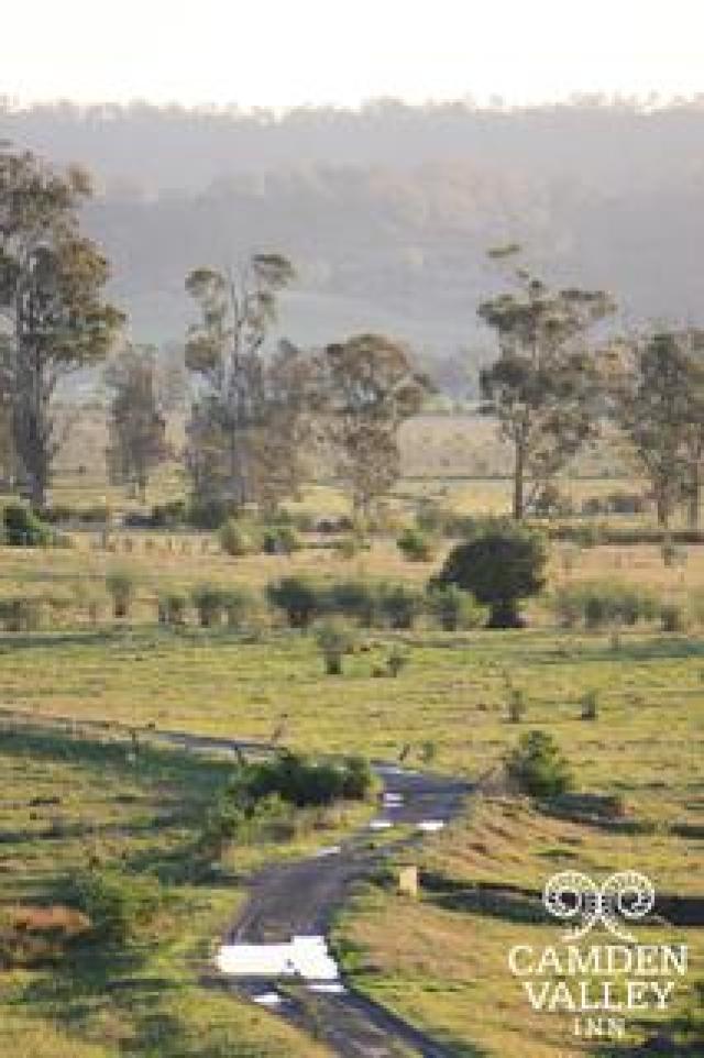 Vista General