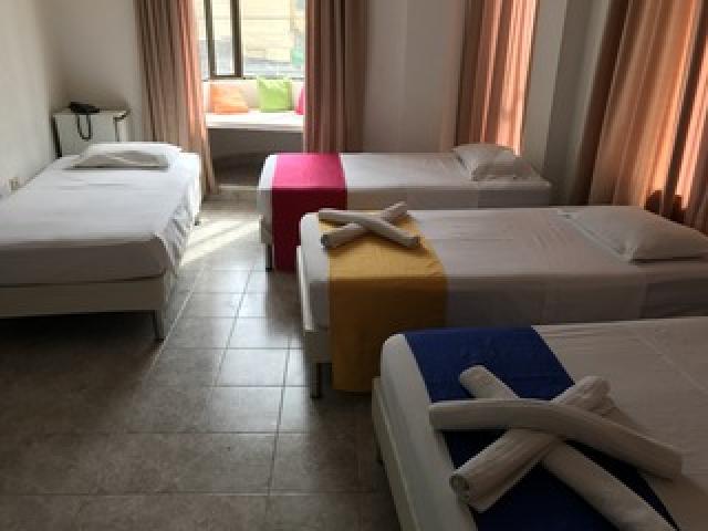 Quarto