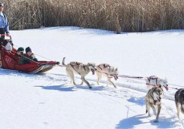 Desportos y Entretenimento