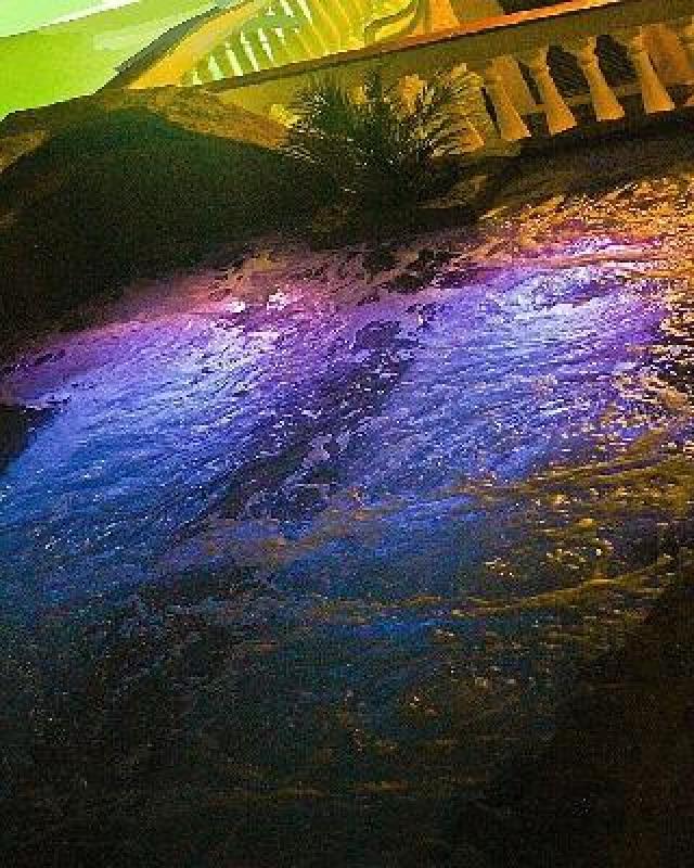 Desportos y Entretenimento