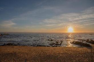 Luxury Beachfront Apartments