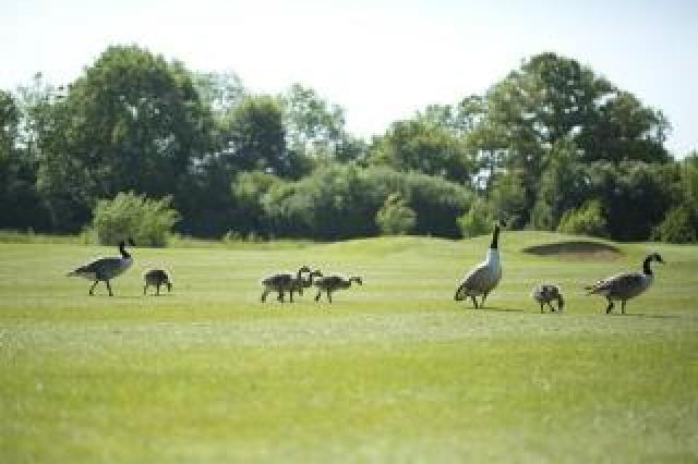 Desportos y Entretenimento