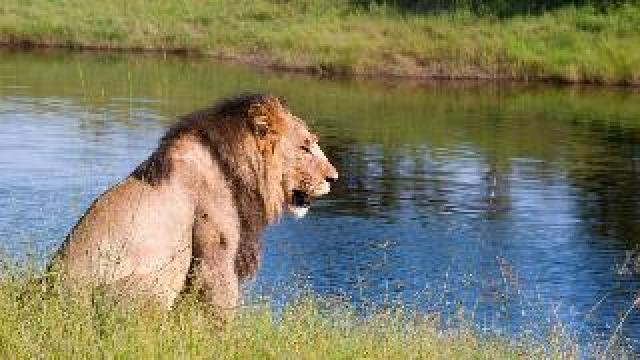 Desportos y Entretenimento