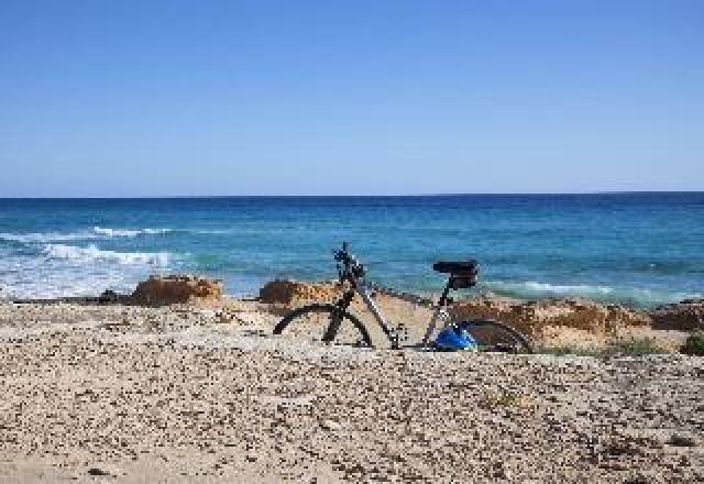 Desportos y Entretenimento