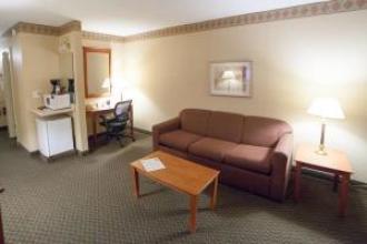 Best Western The Falls Inn & Suites