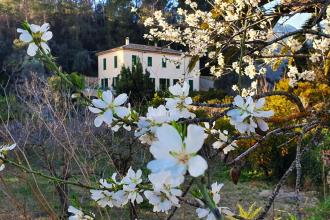 Agroturisme Finca Sa Maniga